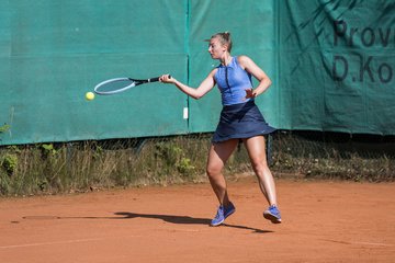 Bild 248 - TVSH Cup
